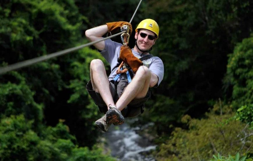 Monkey Jungle Zip Lining